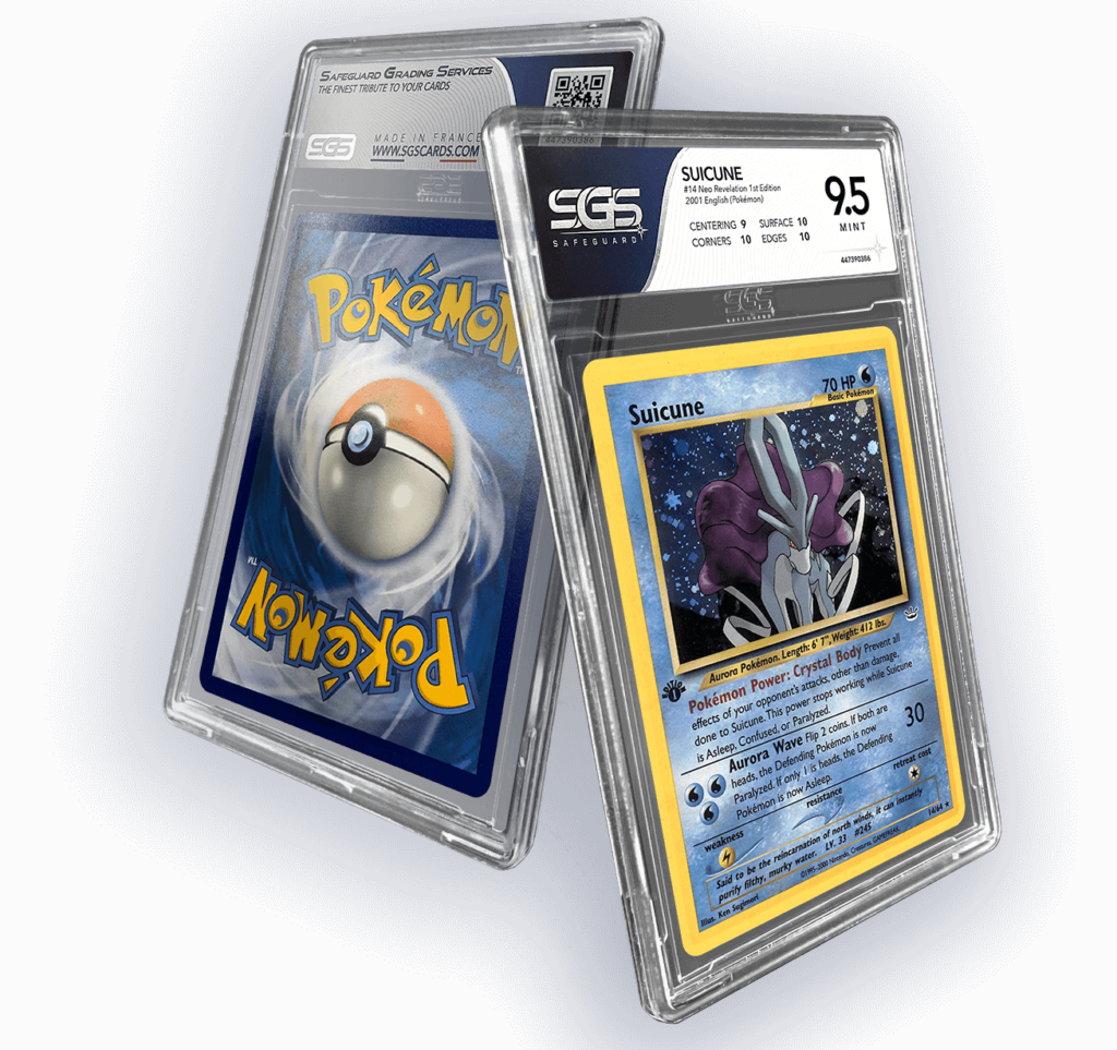 Stock Bureau - HAMA Boîte Pour Carte Mémoire "DuoCase", Pour 2 Cartes